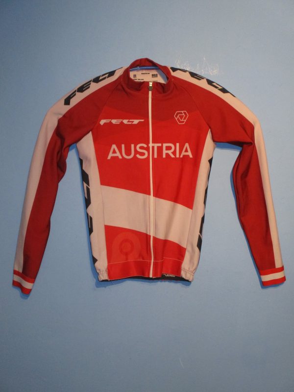 オーストリア代表 2024